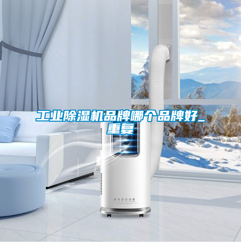 工業91看片在线下载機品牌哪個品牌好_重複
