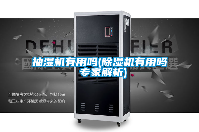 抽濕機有用嗎(91看片在线下载機有用嗎 專家解析)