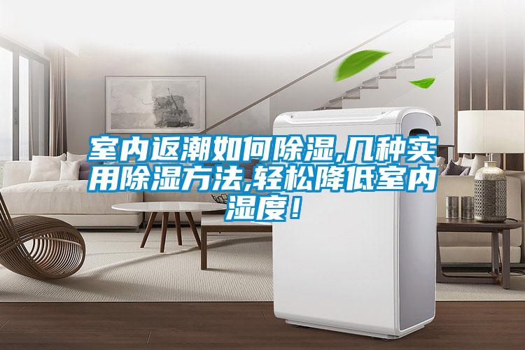室內返潮如何91看片在线下载,幾種實用91看片在线下载方法,輕鬆降低室內濕度！