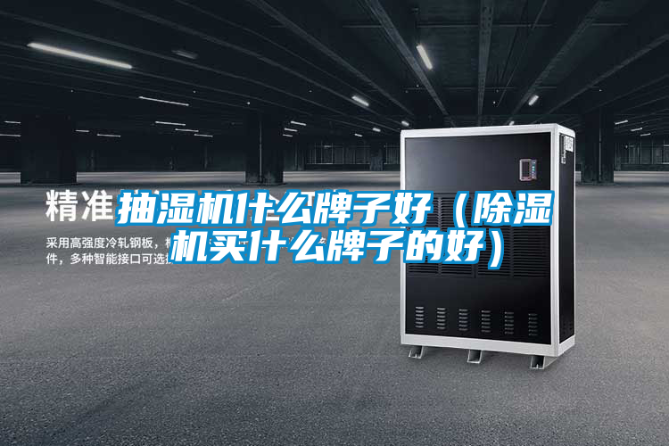 抽濕機什麽牌子好（91看片在线下载機買什麽牌子的好）