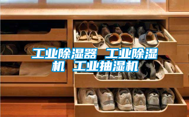 工業91看片在线下载器 工業91看片在线下载機 工業抽濕機