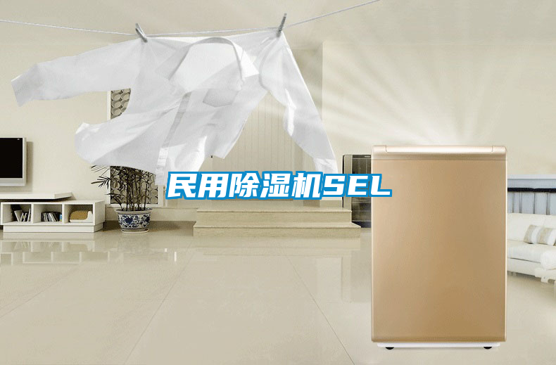 民用91看片在线下载機SEL