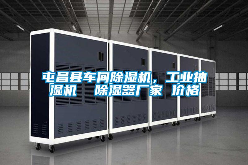 屯昌縣車間91看片在线下载機，工業抽濕機  91看片在线下载器廠家 價格