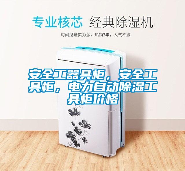 安全工器具櫃，安全工具櫃，電力自動91看片在线下载工具櫃價格