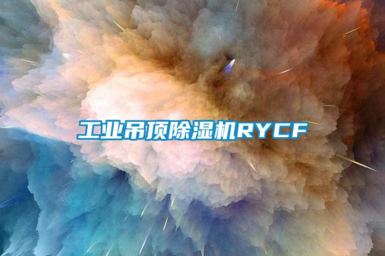 工業吊頂91看片在线下载機RYCF