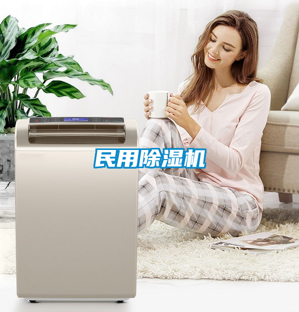 民用91看片在线下载機