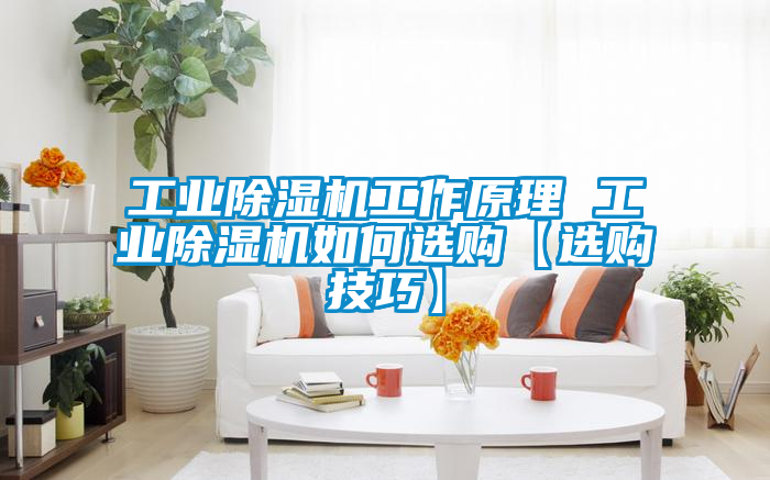 工業91看片在线下载機工作原理 工業91看片在线下载機如何選購【選購技巧】