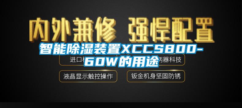 智能91看片在线下载裝置XCCS800-60W的用途