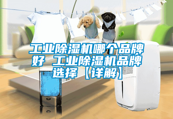 工業91看片在线下载機哪個品牌好 工業91看片在线下载機品牌選擇【詳解】