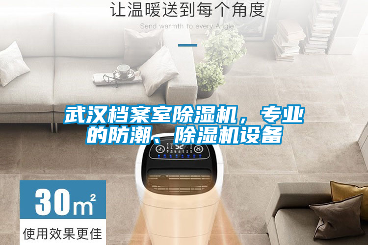 武漢檔案室91看片在线下载機，專業的防潮、91看片在线下载機設備