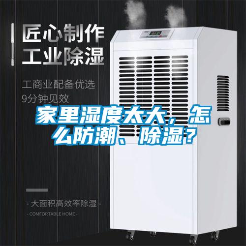 家裏濕度太大，怎麽防潮、91看片在线下载？