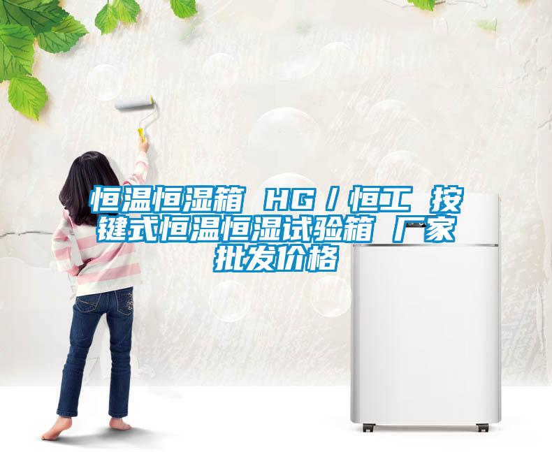 恒溫恒濕箱 HG／恒工 按鍵式恒溫恒濕試驗箱 廠家批發價格