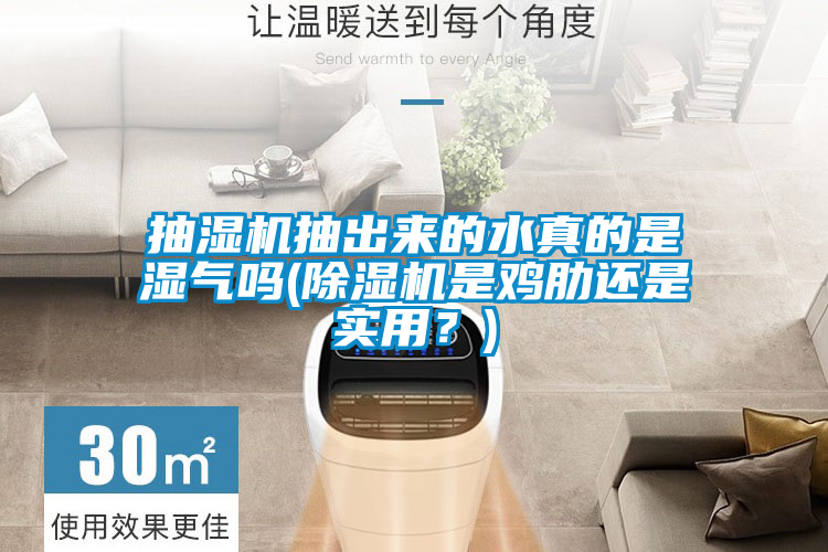 抽濕機抽出來的水真的是濕氣嗎(91看片在线下载機是雞肋還是實用？)