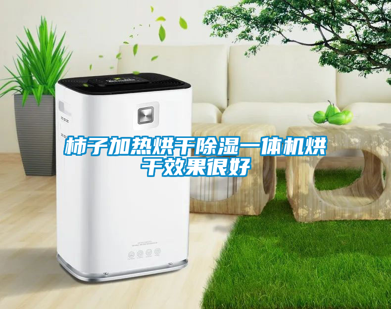 柿子加熱烘幹91看片在线下载一體機烘幹效果很好