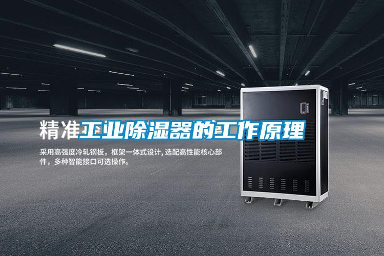 工業91看片在线下载器的工作原理