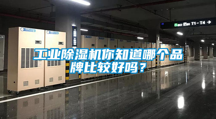 工業91看片在线下载機你知道哪個品牌比較好嗎？