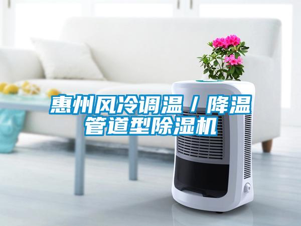 惠州風冷調溫／降溫管道型91看片在线下载機