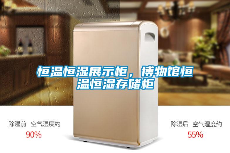 恒溫恒濕展示櫃，博物館恒溫恒濕存儲櫃