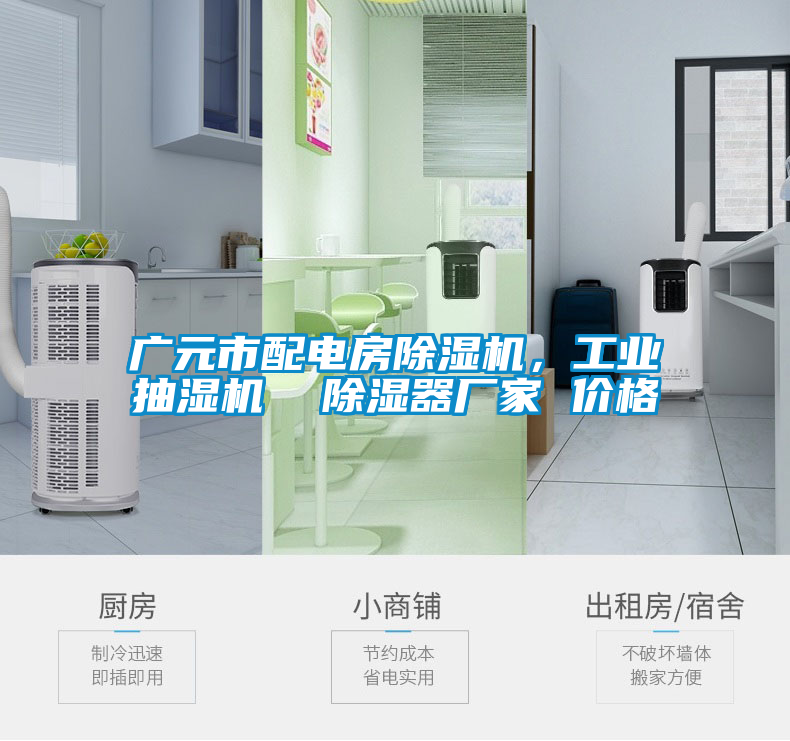 廣元市配電房91看片在线下载機，工業抽濕機  91看片在线下载器廠家 價格