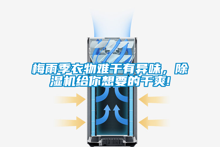 梅雨季衣物難幹有異味，91看片在线下载機給你想要的幹爽!