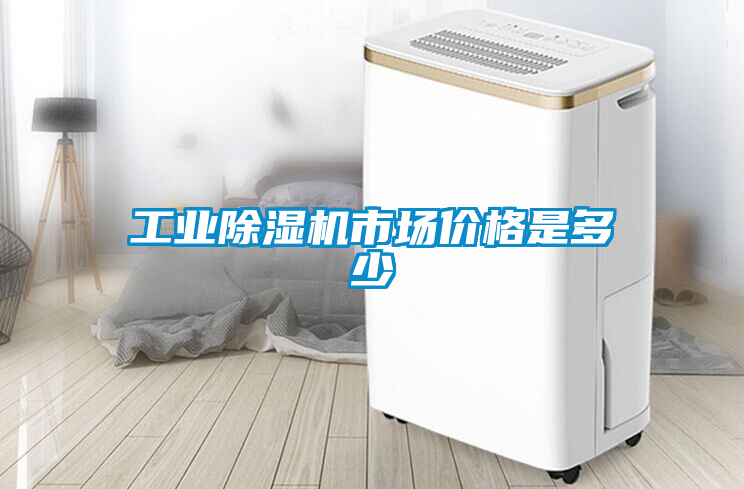 工業91看片在线下载機市場價格是多少