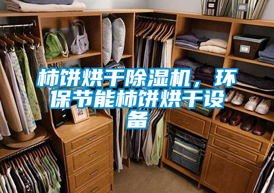 柿餅烘幹91看片在线下载機，環保節能柿餅烘幹設備