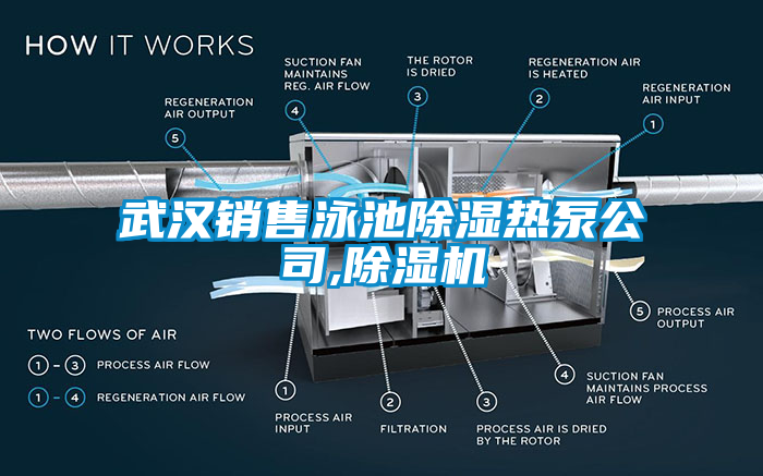武漢銷售泳池91看片在线下载熱泵公司,91看片在线下载機