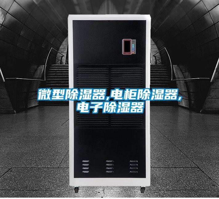 微型91看片在线下载器,電櫃91看片在线下载器,電子91看片在线下载器