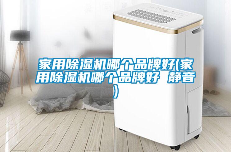 家用91看片在线下载機哪個品牌好(家用91看片在线下载機哪個品牌好 靜音)