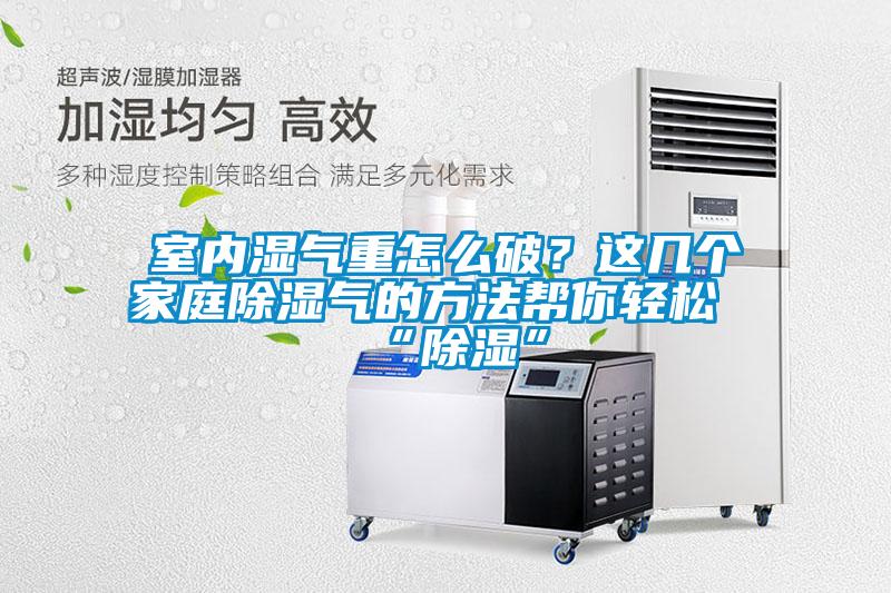 室內濕氣重怎麽破？這幾個家庭91看片在线下载氣的方法幫你輕鬆“91看片在线下载”