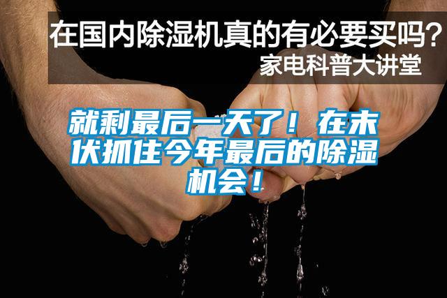 就剩最後一天了！在末伏抓住今年最後的91看片在线下载機會！