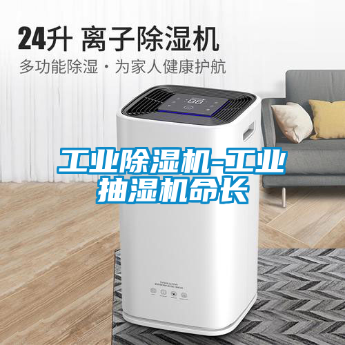 工業91看片在线下载機-工業抽濕機命長