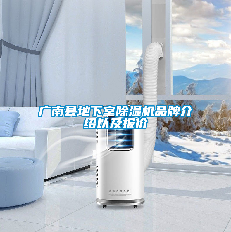 廣南縣地下室91看片在线下载機品牌介紹以及報價