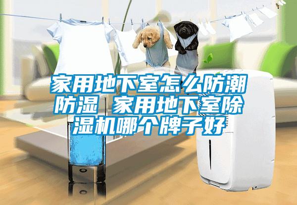 家用地下室怎麽防潮防濕 家用地下室91看片在线下载機哪個牌子好