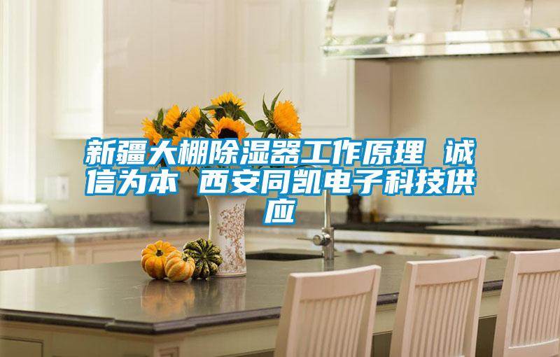新疆大棚91看片在线下载器工作原理 誠信為本 西安同凱電子科技供應