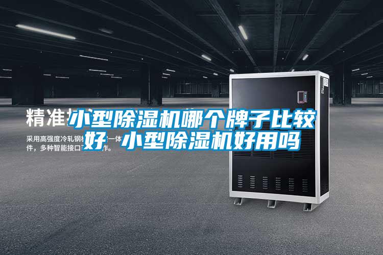 小型91看片在线下载機哪個牌子比較好 小型91看片在线下载機好用嗎