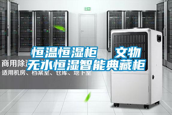 恒溫恒濕櫃  文物無水恒濕智能典藏櫃