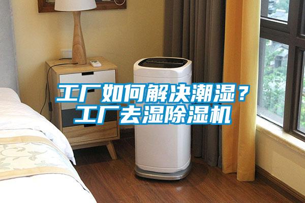 工廠如何解決潮濕？工廠去濕91看片在线下载機