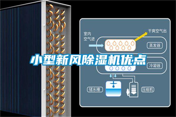 小型新風91看片在线下载機優點