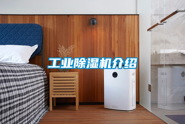 工業91看片在线下载機介紹