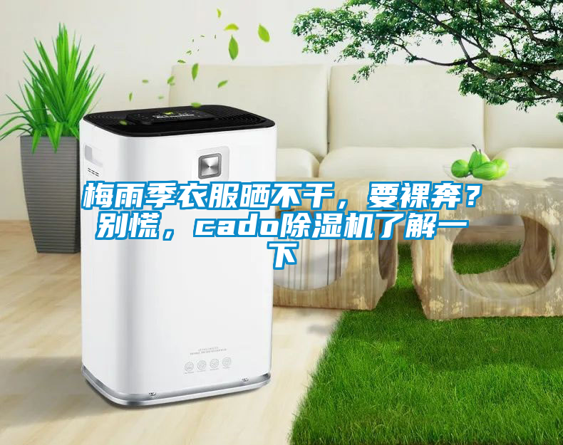 梅雨季衣服曬不幹，要裸奔？別慌，cado91看片在线下载機了解一下