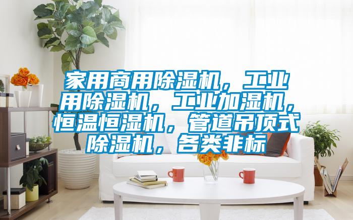 家用商用91看片在线下载機，工業用91看片在线下载機，工業加濕機，恒溫恒濕機，管道吊頂式91看片在线下载機，各類非標