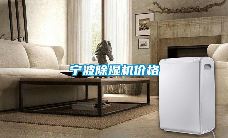 寧波91看片在线下载機價格