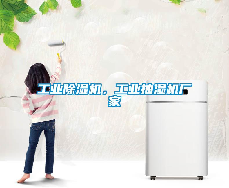 工業91看片在线下载機，工業抽濕機廠家