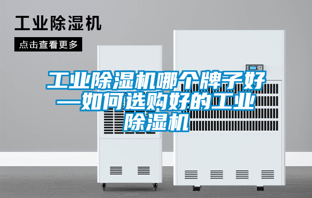 工業91看片在线下载機哪個牌子好—如何選購好的工業91看片在线下载機