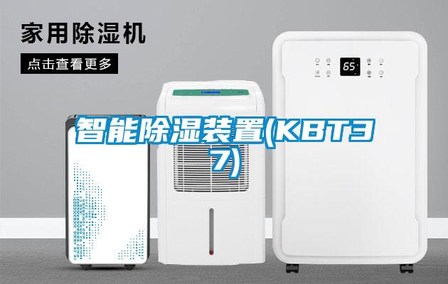 智能91看片在线下载裝置(KBT37)