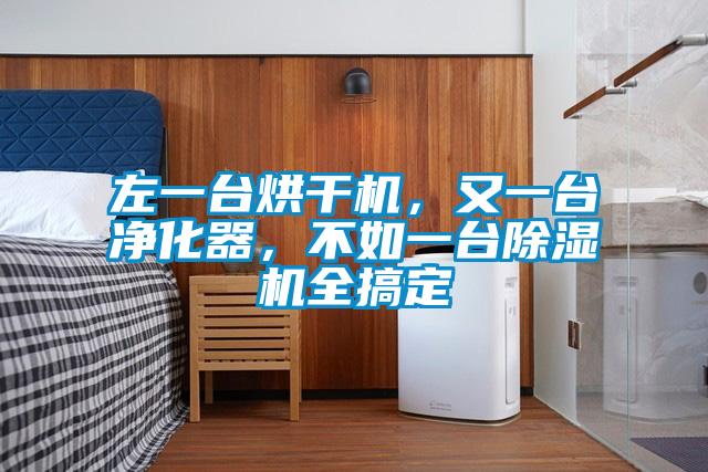 左一台烘幹機，又一台淨化器，不如一台91看片在线下载機全搞定