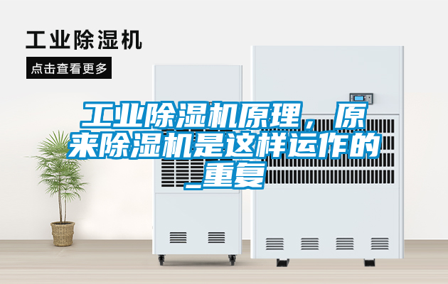 工業91看片在线下载機原理，原來91看片在线下载機是這樣運作的_重複