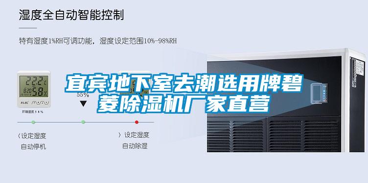 宜賓地下室去潮選用牌碧菱91看片在线下载機廠家直營