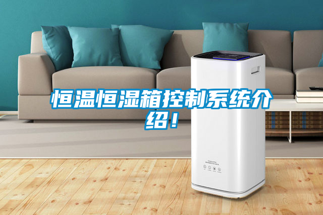 恒溫恒濕箱控製係統介紹！